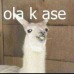 -ola k ase