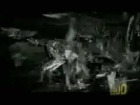 V�deo: Papa roach scars en espa�ol