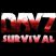 DAY Z