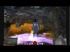 Guild Wars 2 Secreto! Gatitos y un ni�o autista