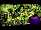 V�deo: CHUDO - "TOMATE G"  (INSTRUMENTAL DE DAZ DILLINGER)