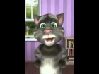 V�deo: El gato Tom le dice un poema a su mujer y su mujer le responde con otro poema