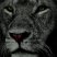BlackLions - Como subir el nivel de triada más rápidamente.(OJO el cuarto punto tiene spoil).MUY ÚTIL!