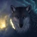 XMidnightWolfx