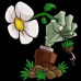 Grupo: Plantas VS Zombies