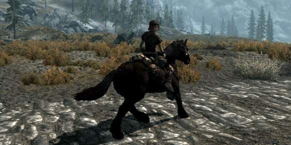 The Elder Scrolls V: Skyrim