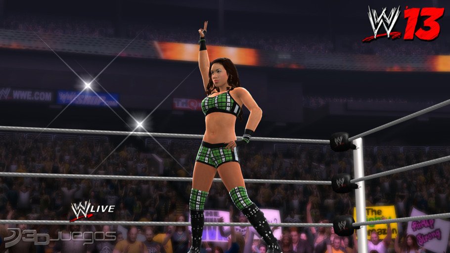 wwe_13-2113399.jpg